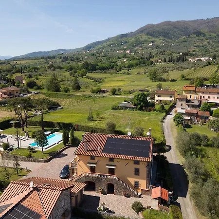 Leone Villa San Gennaro (Lucca)
